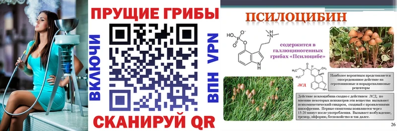 Псилоцибиновые грибы Cubensis  Купить закладки  Ростов 